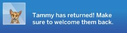 EmSims81's tweet photo. Tammy has returned and she brought my Sims a present too! 😃 I'm so happy Simmers! 💚 #TheSims4CatsAndDogs  #TheSims4 #TS4 https://t.co/iZMHzhBUJ9