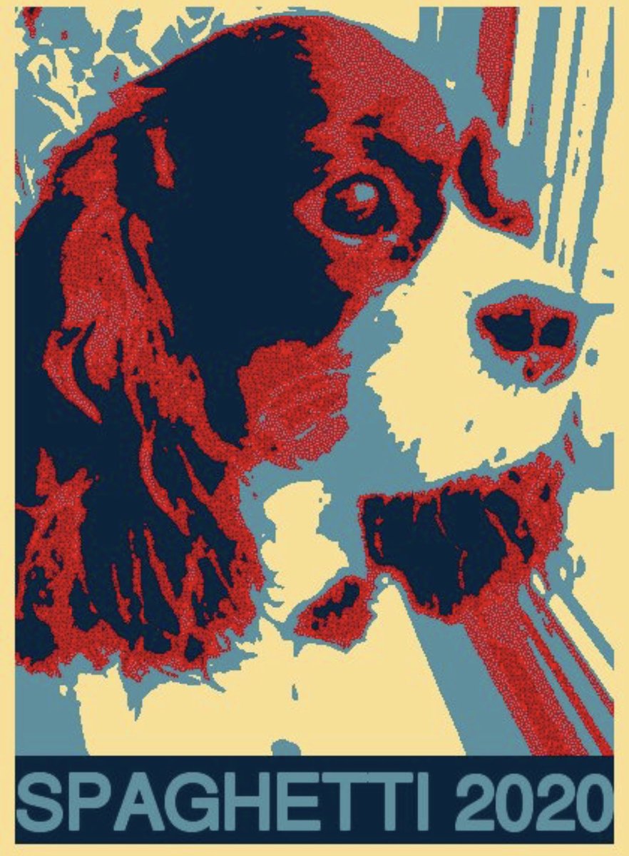 SpaghettiSchna1's tweet photo. This poster would look great above my pup bed https://t.co/vcKWhBdzFG
