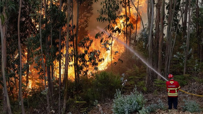 EcoCopter tweet media