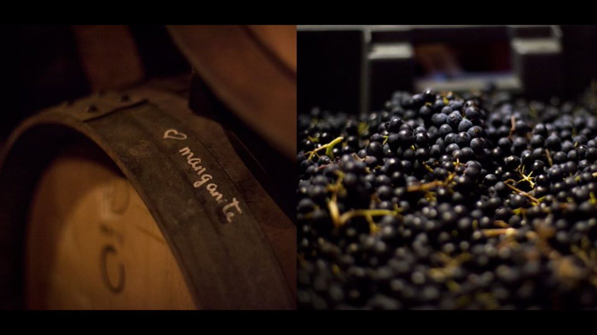 Domaine Clos des Vignes du Maynes, un patrimoine exceptionnel! Par Julien Guillot. En vente sur demainlesvins.com #dlv #winelovers