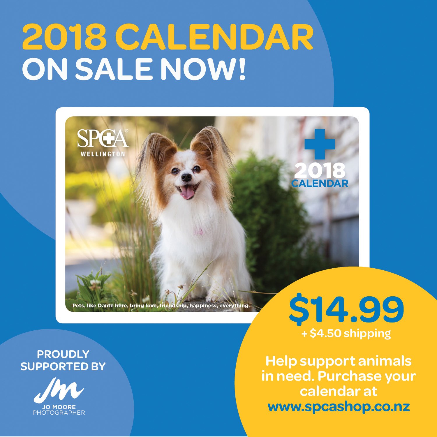 Newtown spca deals