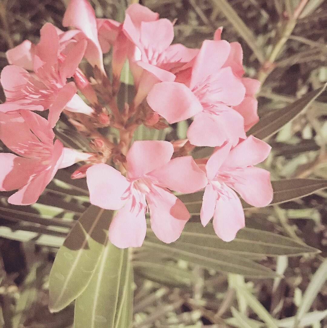 Madison04910136's tweet photo. Want to be a photographer, like my pics? https://t.co/TdJHGGosAV