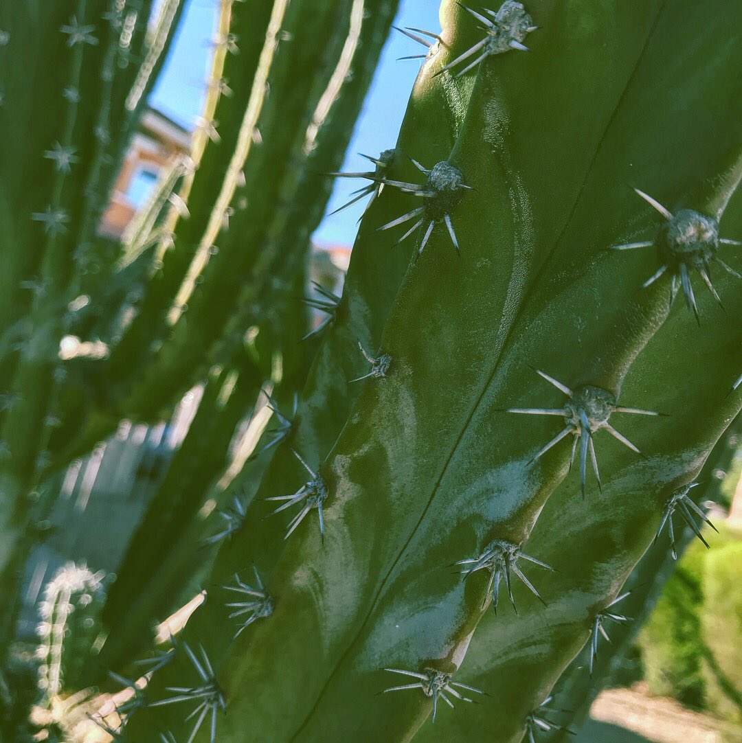 Madison04910136's tweet photo. Missing Arizona! 😭🌵 https://t.co/dLEoLcA3rg