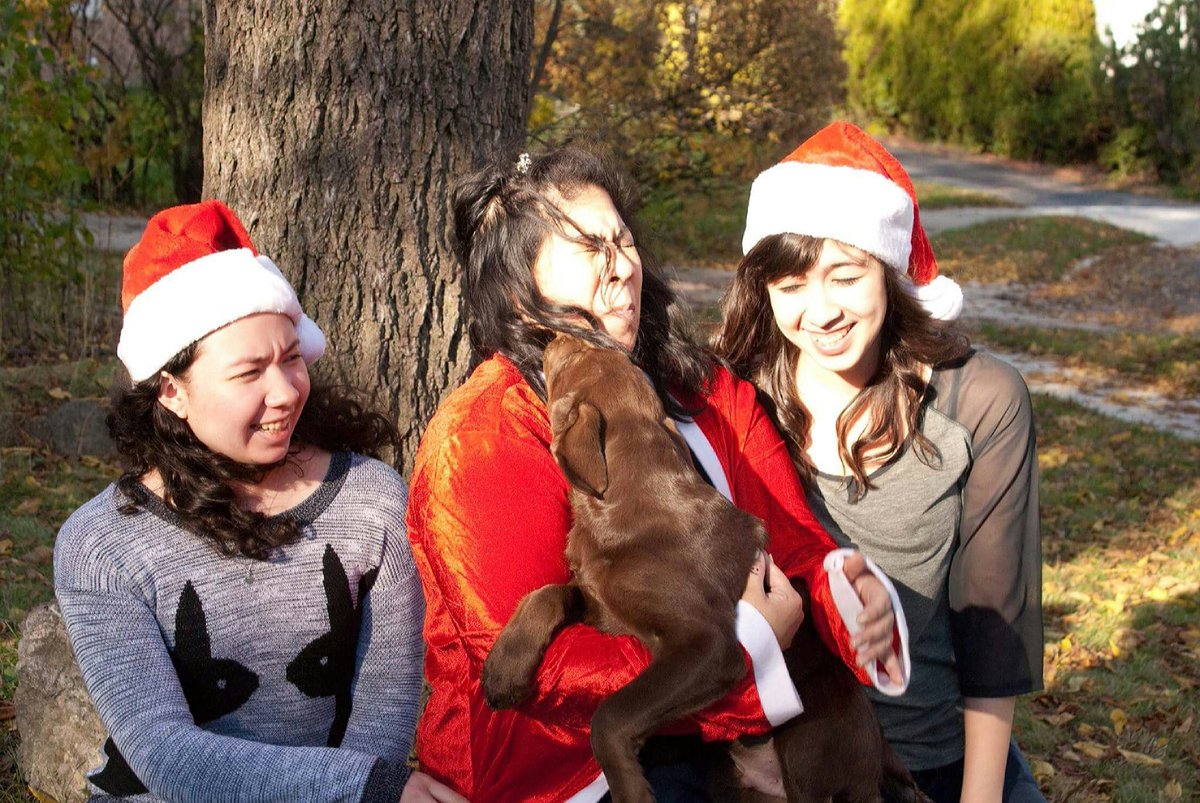 Melicam143's tweet photo. #ChristmasCardFail #PuppyMemories https://t.co/SR30RA2rFT