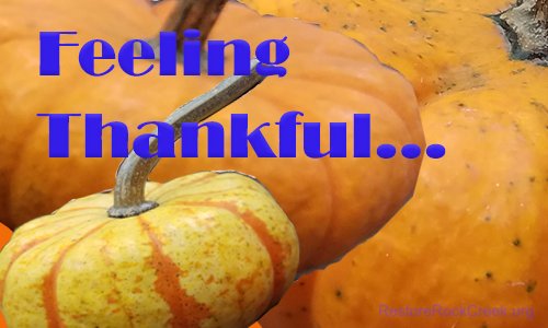 RestoreRC's tweet photo. Thanksgiving is a time to celebrate all that we are, and what we have together.
Happy Thanksgiving! https://t.co/HC8OTfSzFb