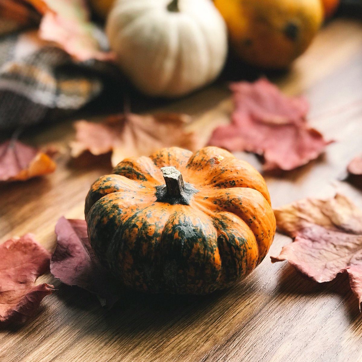TarryMarket's tweet photo. Tarry Market will be closed on Thanksgiving. We will re-open for regular business hours on Friday November 24th.

Please also note that on Saturday November 25th the Market will be closing at 6 PM for a private event. 

All of us at Tarry Market wish you a peaceful Thanksgiving! https://t.co/Iy1MmXc0k4