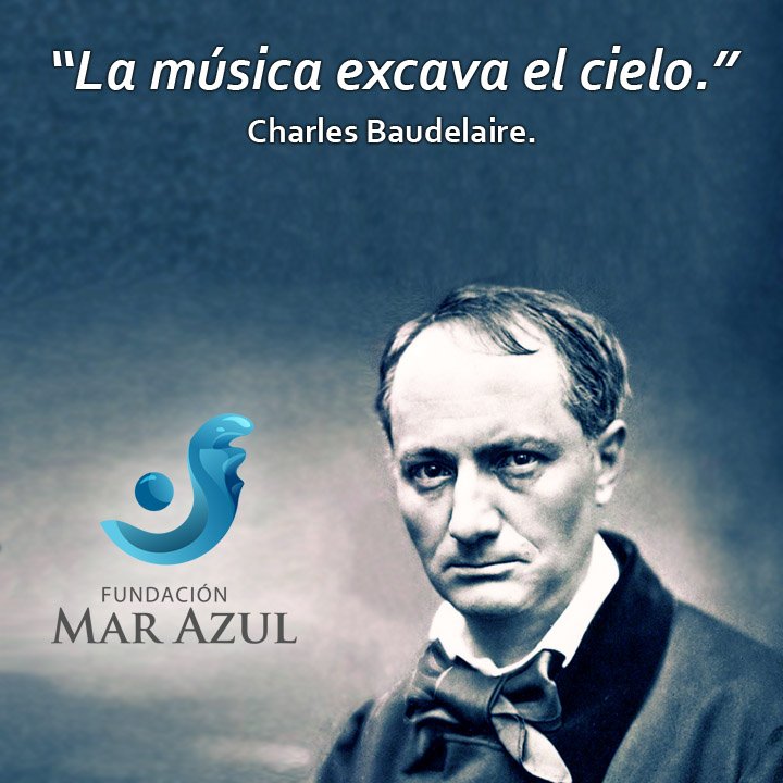 Fundación Mar Azul tweet media