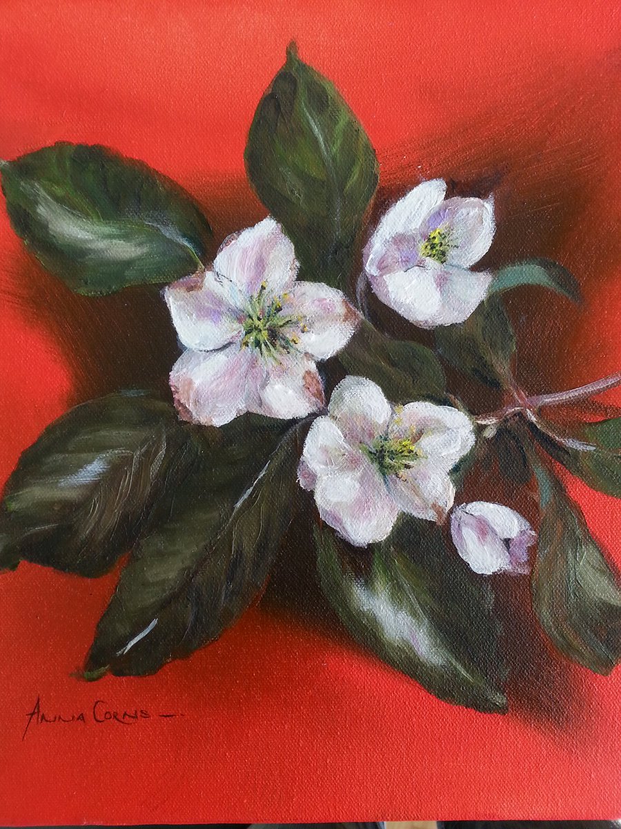 Anna Corns Art tweet media