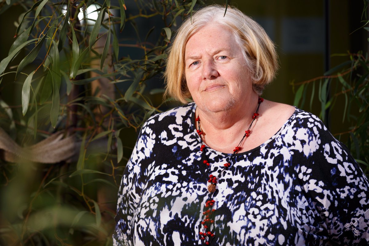 Congratulations to all inductees into @AboriginalVic Honour Roll. Aunty Diane Kerr has been a key contributor and Aunty to many young Aboriginal cricketers involved our Noogal Toenogorrt Tani cricket program.  🙌