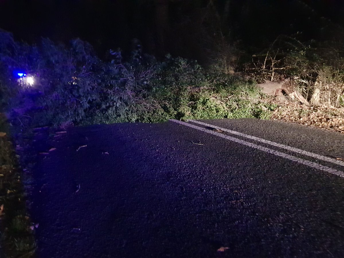 HaleswrthPolice's tweet photo. Large oak tree down, blocking the B1118 Chickering Road between Hoxne & Stradbroke. #Roadclosed #SuffolkRoads #EyeSNT https://t.co/xHFWNkJENo