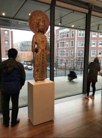 harvartmuseums's tweet photo. Who knew turkeys were such art lovers? Three turkeys paid us a visit today, just in time for #Thanksgiving! Here are some photos of the big event, courtesy of our curators https://t.co/clXpc8GS0J
