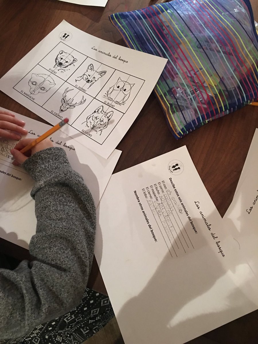 MagicLanguages's tweet photo. Our students had lots of fun learning about the different kinds of animals that live in the forest! 🌳🌳 https://t.co/Rqm2crdahC