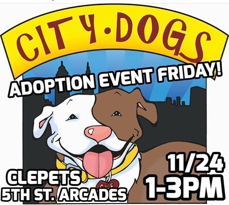 CityDogsCLE's tweet photo. #CITYDOGS around #CLE

@myCLEpets is holding a special adoption event on Friday 11/24 from 1-3pm in the 5th Street Arcades. We will be on hand with adoptable dogs, so come down and meet your new best friend! #adopt #CLEdogs #CLEpets https://t.co/LYsXzOkOFU