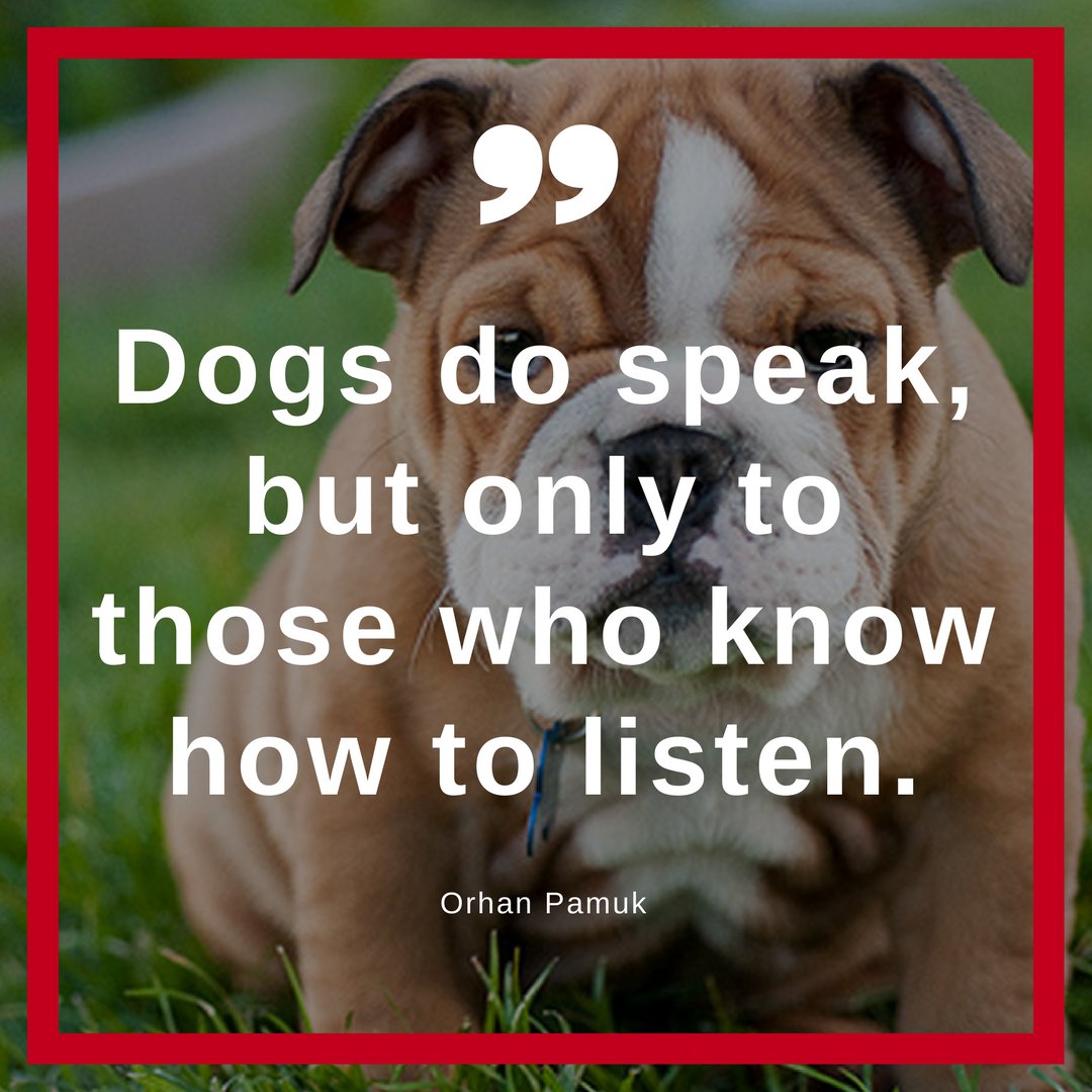 "Dogs do speak but only to those who know how to listen ” Orhan Pamuk inspirationalquotes dogquotes doglovequotespicitter ouUjsFAqzN