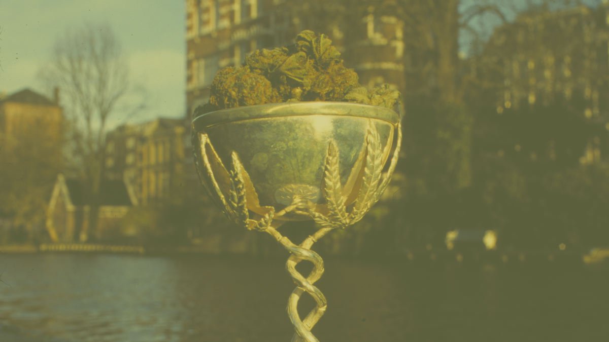 Grey Area Coffeeshop tweet media