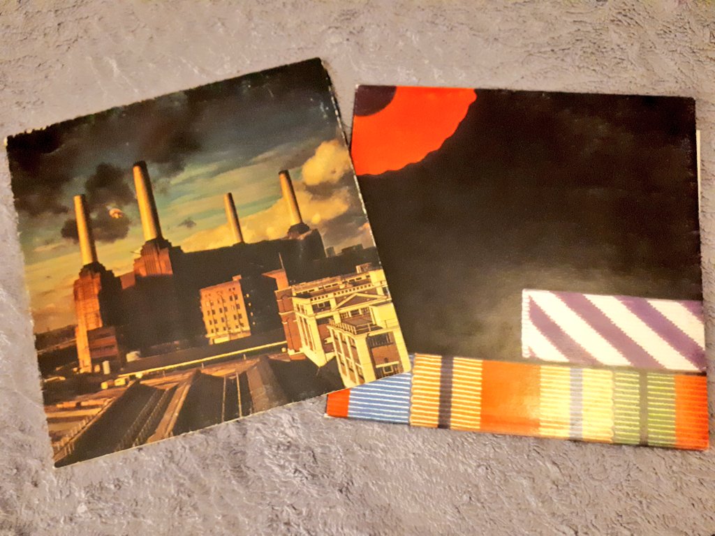 ScafAnna's tweet photo. Chi mi ama non mi regala mazzi di fiori ma dischi in vinile. 
(Se prime edizioni meglio ancora) ❤ https://t.co/ov0kMZKhgA