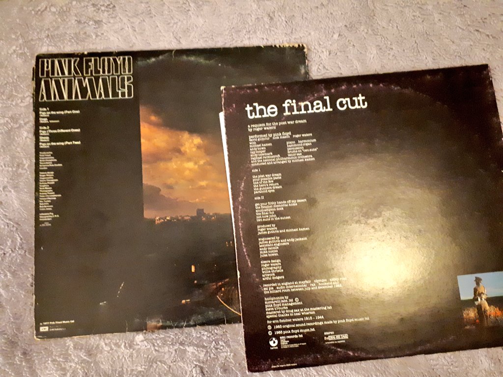 Chi mi ama non mi regala mazzi di fiori ma dischi in vinile. 
(Se prime edizioni meglio ancora) ❤