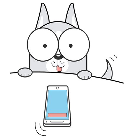 download the boy at the