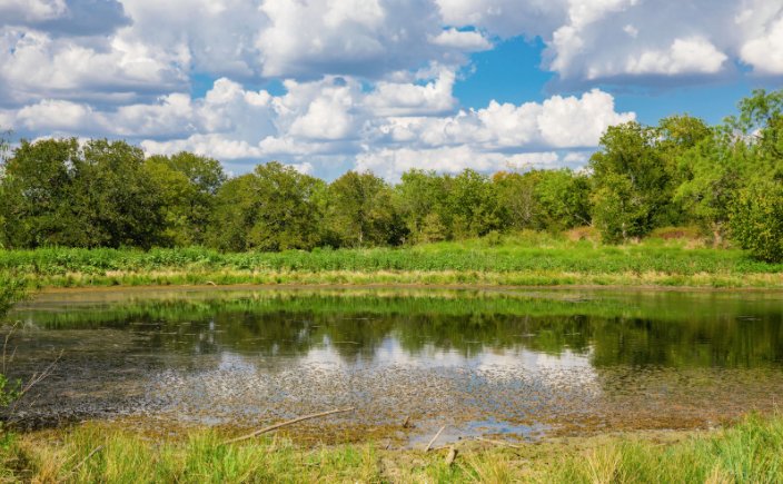 duPerierTLM's tweet photo. #SpotlightProperty Elm Creek Ranch:
➡️ 301 acres 6 miles E. of Marlin, Texas
➡️ Big Creek flows across the north boundary of the ranch for ½ mile
➡️ 2 acre and 1.4-acre pond
➡️ 3 bedroom home and metal barn
https://t.co/Z9248FiDvx…/elm-creek-ranch/ https://t.co/uS2aDcqnPO