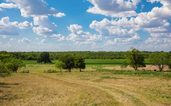 duPerierTLM's tweet photo. #SpotlightProperty Elm Creek Ranch:
➡️ 301 acres 6 miles E. of Marlin, Texas
➡️ Big Creek flows across the north boundary of the ranch for ½ mile
➡️ 2 acre and 1.4-acre pond
➡️ 3 bedroom home and metal barn
https://t.co/Z9248FiDvx…/elm-creek-ranch/ https://t.co/uS2aDcqnPO