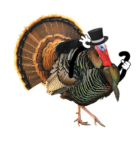 AzzipTweets's tweet image. When your family starts asking you questions about school, who you're dating, and what your plans are after graduation, hit em with the ol' razzle dazzle.