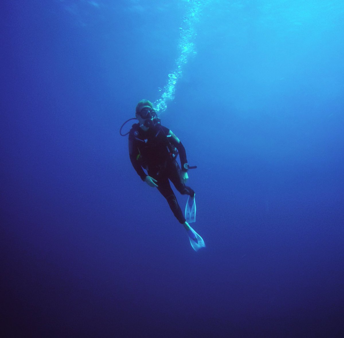 karojankiewicz's tweet photo. Flying in the sea! The ocean is everything I want to be , beautiful , mysterious, strong, wild and free! #BigBlue #Diving https://t.co/uSzXk1TisD