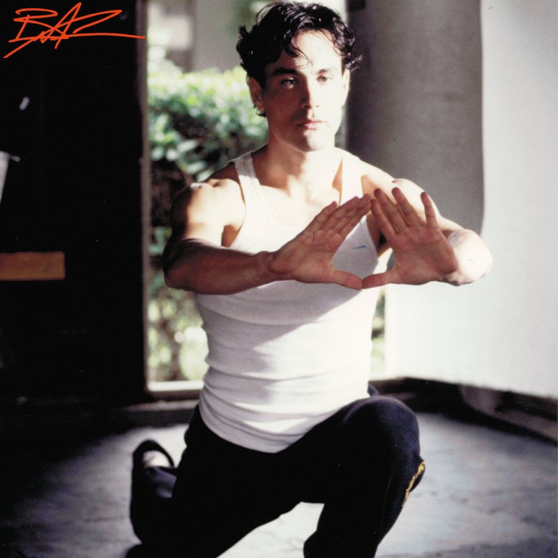 Brandon Bruce Lee on Twitter: ""You have to do your own ...