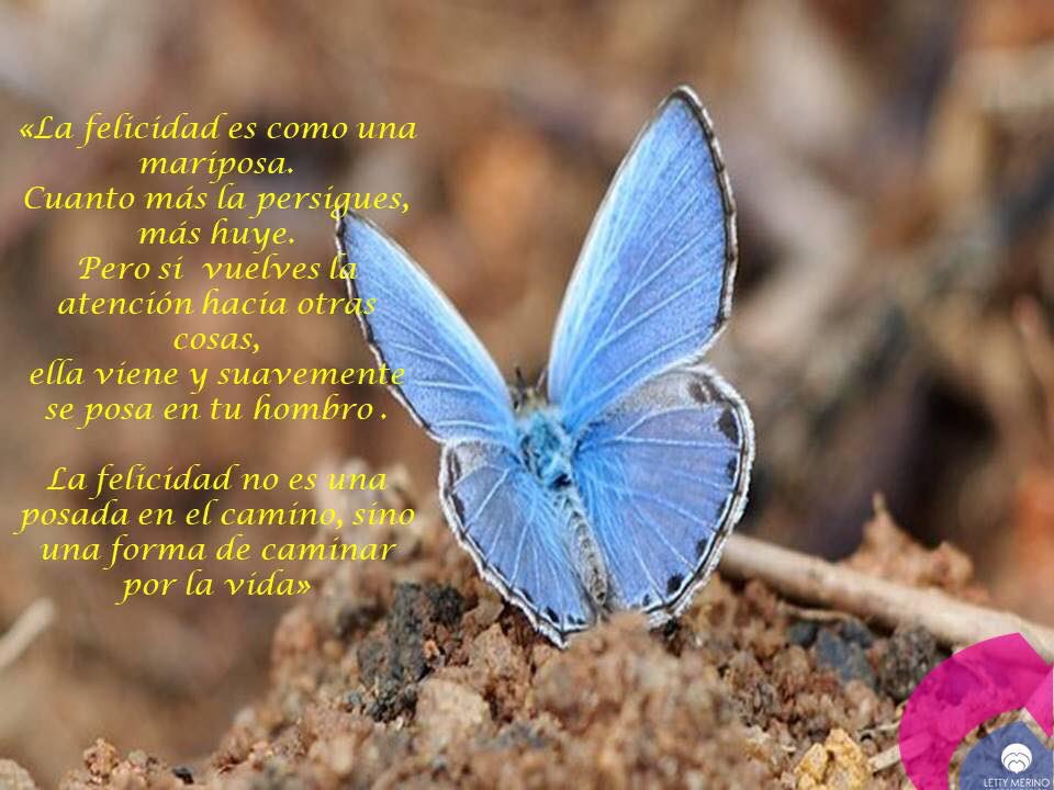 Letty Merino tweet media