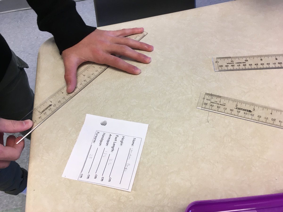 TristanNuyens's tweet photo. These grade 9 math students are #ForensicScientists today - measuring hand size, foot size, forearm length and wingspan! Compared to height: whatโs the correlation? #graphing #data #linearrelationships #ocsbDL #engaged #math @MotherTeresaHS #ocsbMATH https://t.co/sXLgZYG4XQ