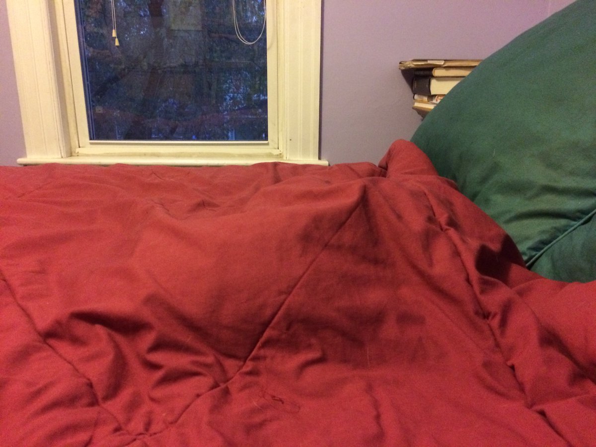 A mysterious lump on the bed!  #breakingcatnews