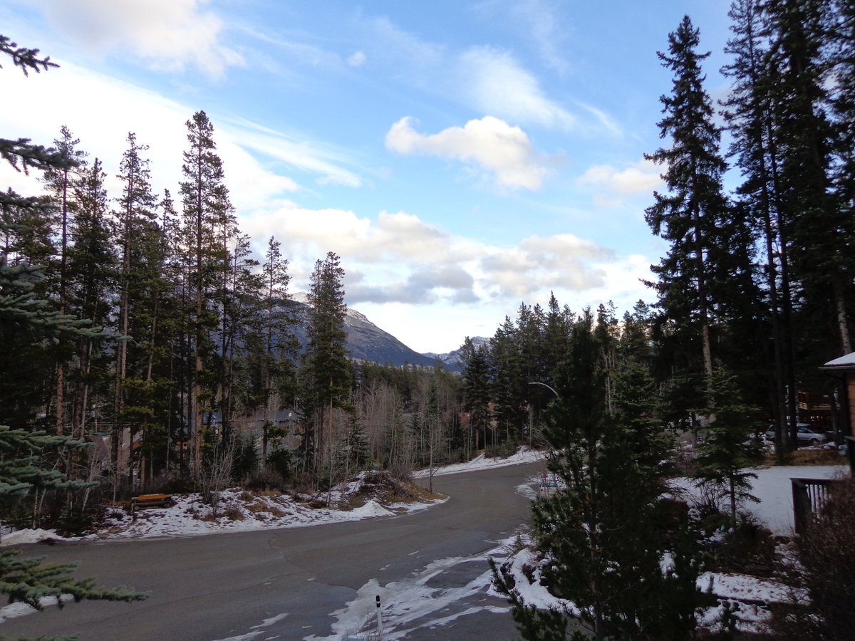 Same view at 4 PM Nov 22.  Plus a shot of one of our honorary wine club members taking a break.  See more and follow our Facebook page facebook.com/BallyrockHome/