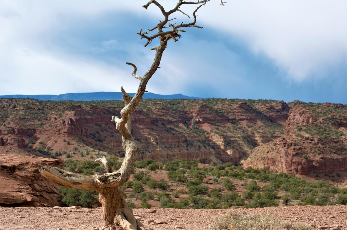 hanging_social's tweet photo. Capital Reef National Park in southern Utah is a great place for anyone who likes hiking and rock climbing. #capitalreefnationalpark #hikingadventures https://t.co/rWwdYdslei