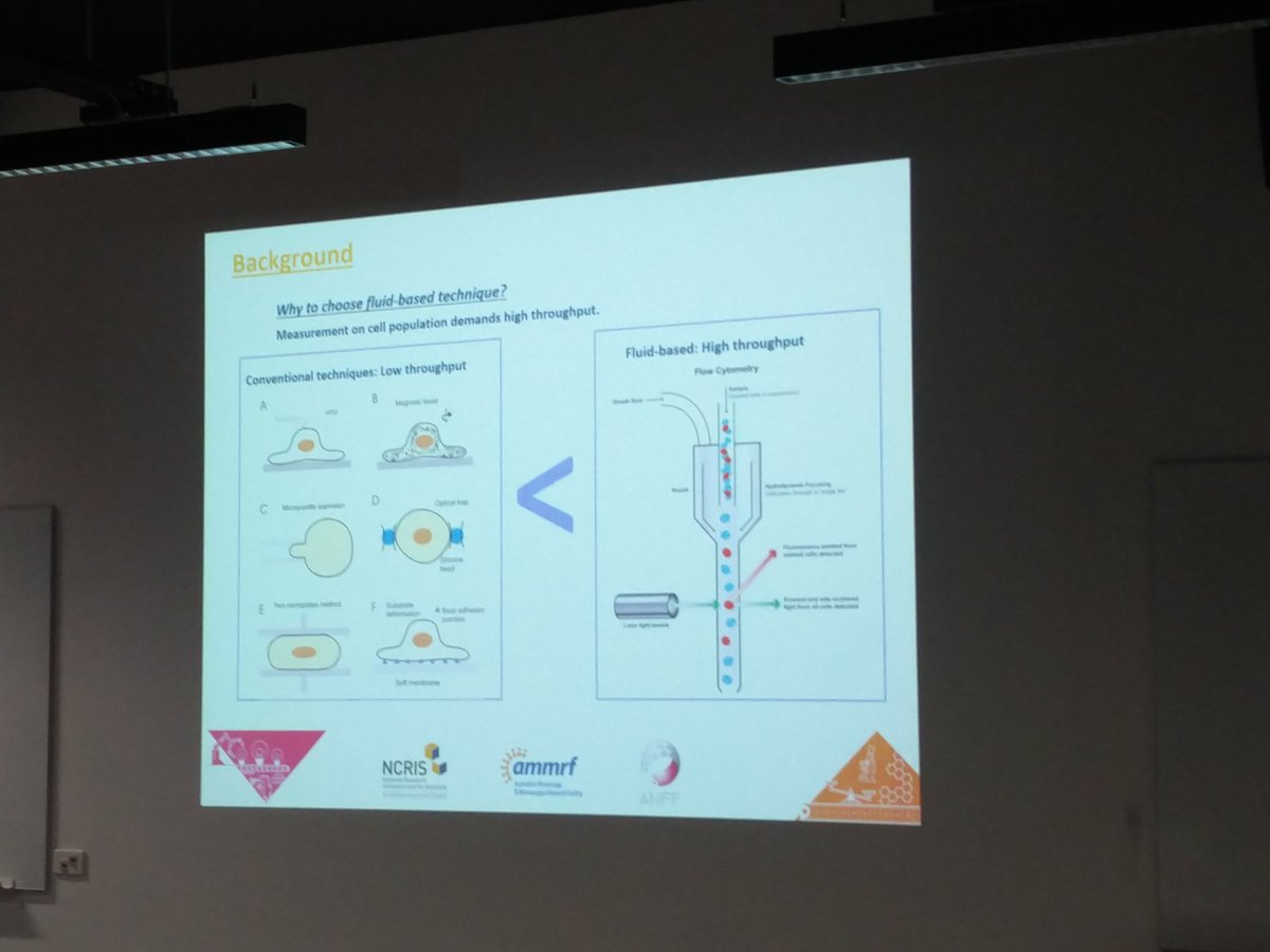 TomEddershaw's tweet photo. #makeandmeasure2017
@Nanomelb user, Arman Namvar presents his microfluidics work. https://t.co/b59ZuyMGkS