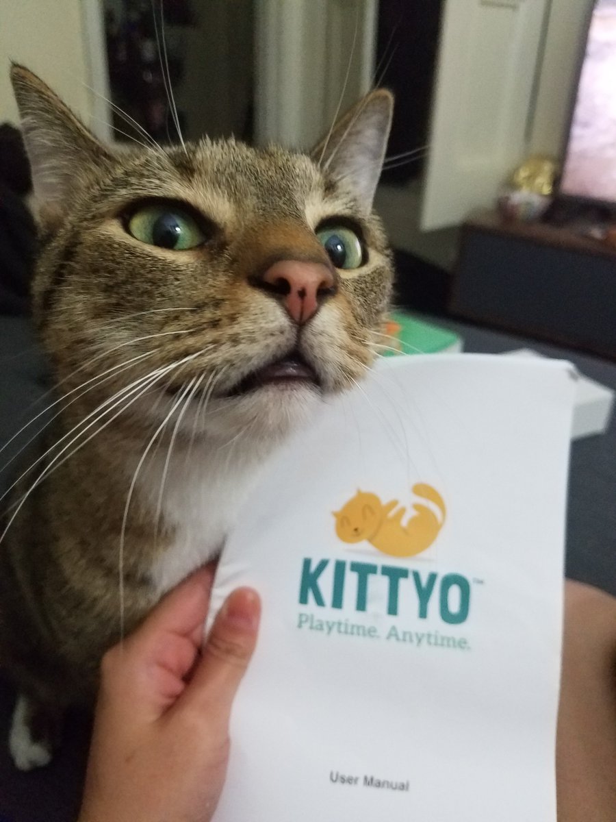 thatcatblog's tweet photo. Check in on your #furbaby with the #kittyo #pet camera. Read all about our laser-pointing, treat-dispensing, #cat-spying adventures - up on the blog now! https://t.co/WNaONCNr3s https://t.co/wE147ECejn