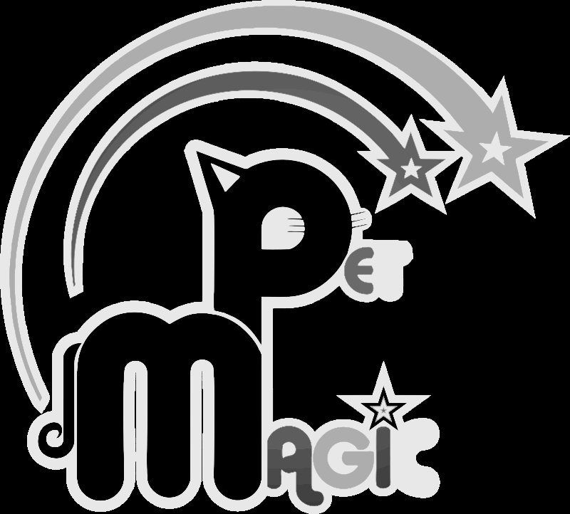 Magic Pet (magicpetflorida) Twitter