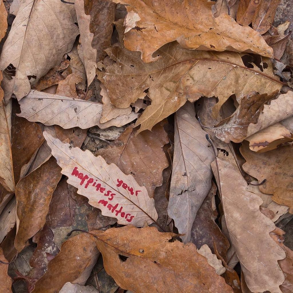 venture4wd's tweet photo. #journeyinbetween #leaf #daretoleap #live #motivationalleaf #senecarocks #hike #hiking #westvirginia #monogahelanationalforest https://t.co/nyVRFsqpn6 https://t.co/fFTv2QwXRT
