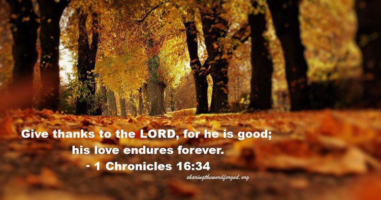 sharingtheword2's tweet photo. 17 Bible Verses To Remember on Thanksgiving And All Year!  https://t.co/vfh2KSRoFJ https://t.co/qCTOyZ6fYY
