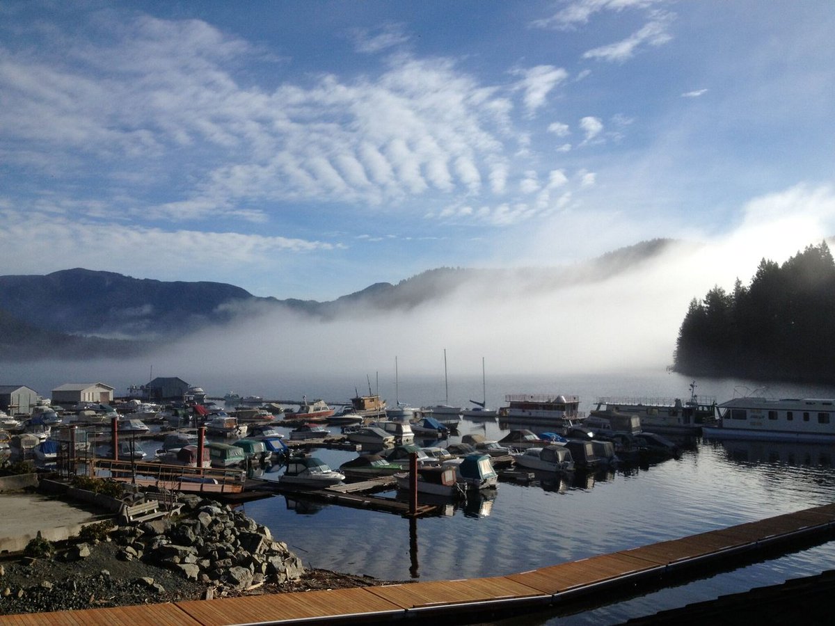 ShinglemillP's tweet photo. Head over to #Shinglemill for lunch w/ a view! It’s the perfect #dateplace in #PowellLake https://t.co/tFwdfzQY1z