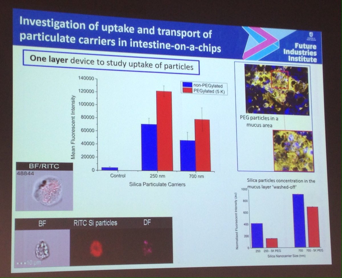AnffSa's tweet photo. Ludivine Delon @UniSAFII is sharing her microfuidic "intestine on a chip" platform to help advance the development of oral vaccines #makeandmeasure2017 https://t.co/jof5AAUWRA