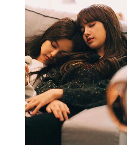 blackpinkau's tweet photo. [IG] blackpinkofficial: #BEULPINGHOUSE #100CATION_REALITY #BLACKPINK #블랙핑크 #BLACKPINKTV #블랙핑크TV #TEASER #COMINGSOON #MIDDECEMBER #YG https://t.co/tauYyWjils