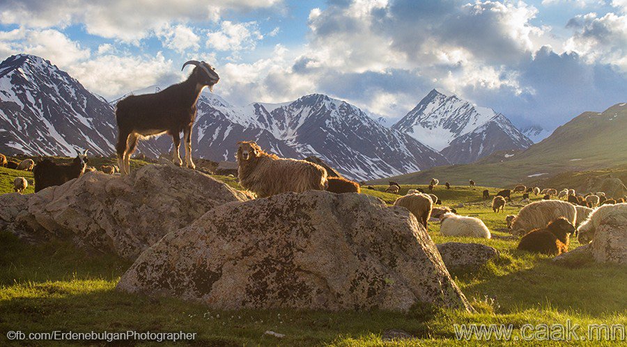 Mongolia976's tweet photo. Mongolia beautiful nature...#mongolia #mongol #nature #amazing https://t.co/7Fm0XgFCvy