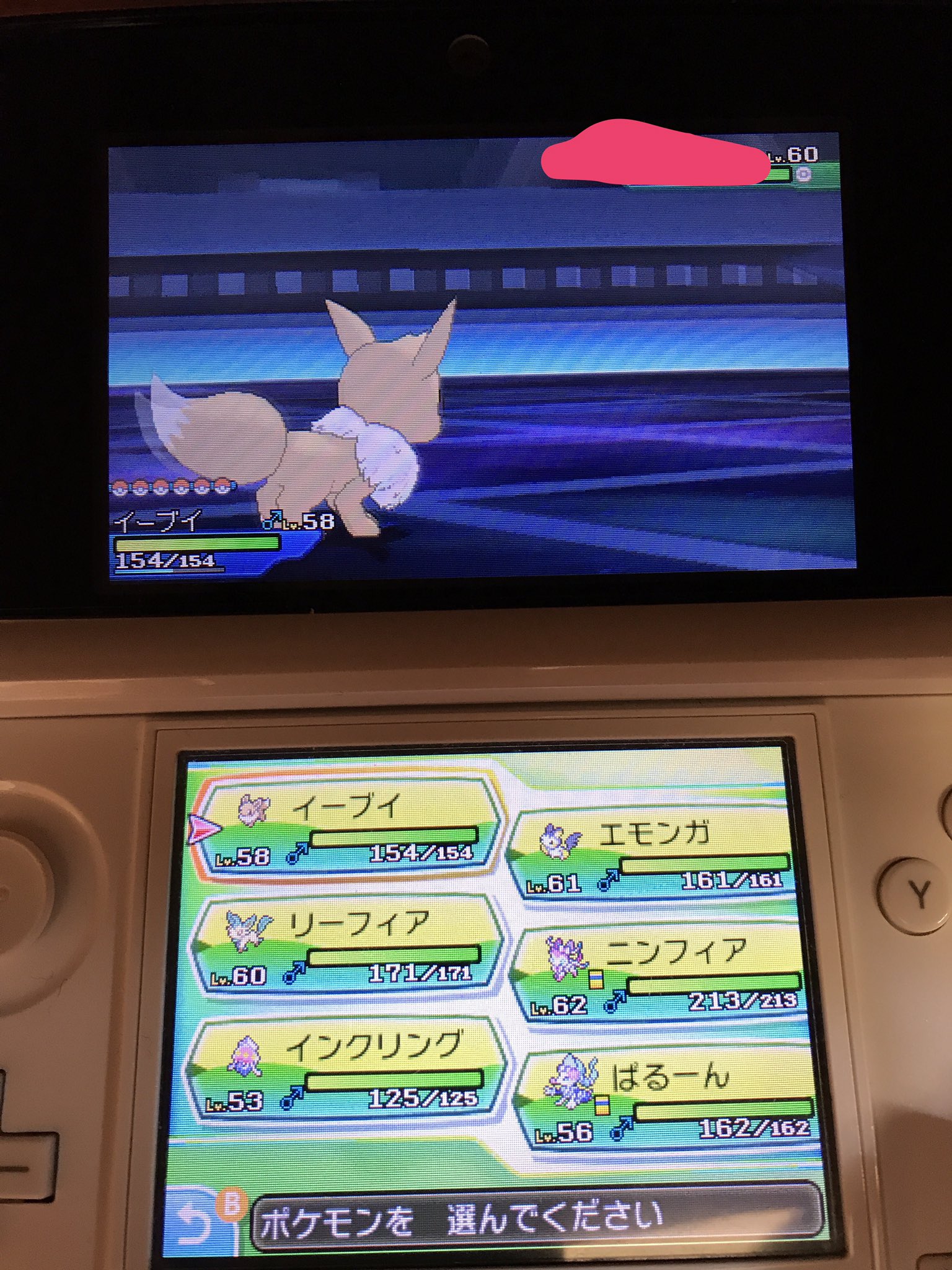 うすたー ポケモン Usuta587 Twitter