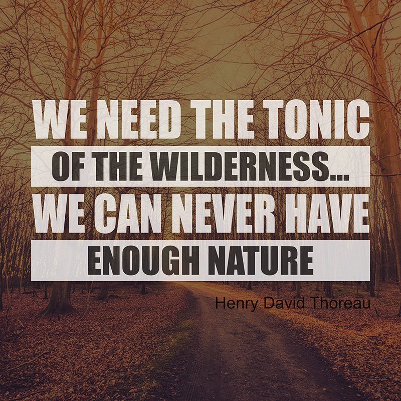 BackTrailDecor's tweet photo. check out our latest blog https://t.co/s0Pz3f8Qn1 #quoteoftheday #quotes https://t.co/IPaapyOTI4