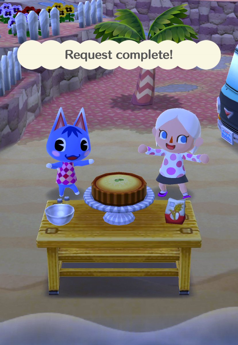 DyraniC's tweet photo. So, I guess this is my life now...
@Harmony__May @haybers021 @Maddness22
#pocketcamper #itsin-TENTS #getit #becauseitscamping... #yeahyougetit https://t.co/WgDKodmayT