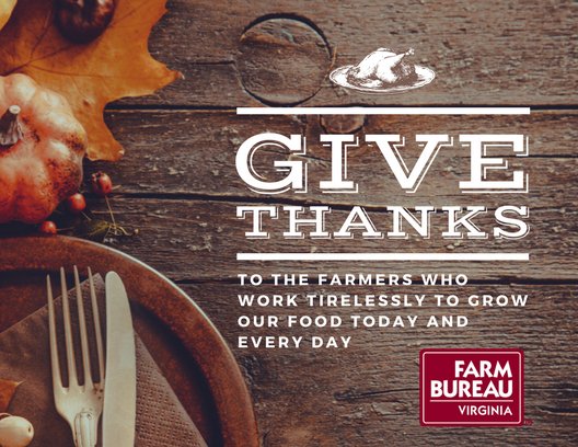 VaFarmBureau's tweet photo. Happy Thanksgiving! We are thankful for all the Farm Bureau families who work to put food on our tables and clothes on our backs. #Thankfulforfarmers #WhyIThankAg #LoveVaAg https://t.co/lxaM4okHq1