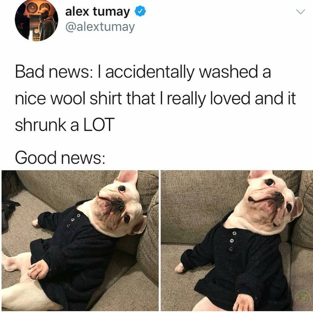 betchesluvthis's tweet photo. This is great news https://t.co/3uZHiesa6x