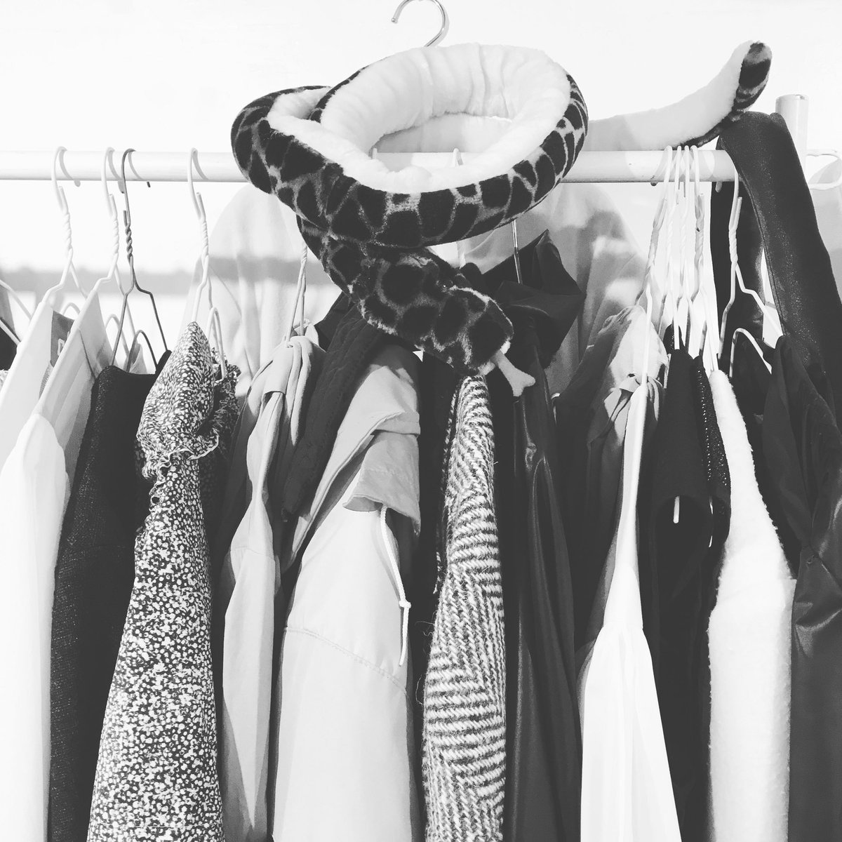 NEW PURE+ tweet media