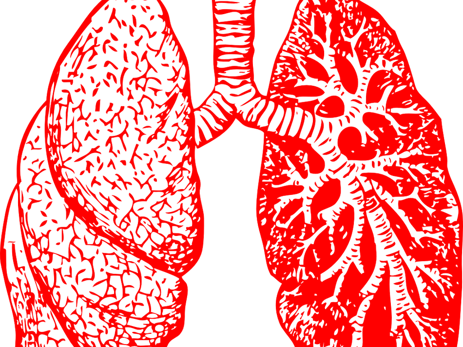 Jacobi/Montefiore EM tweet media