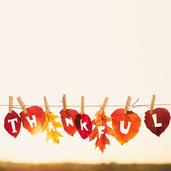9round80027's tweet photo. We are so Thankful to have you in our lives!
9Round Holiday Hours:
Thursday - CLOSED 
Friday - 8am - 1pm, 3:30pm - 6:30pm

Stay tuned for our ** Black Friday Sale ** https://t.co/FRUi52tKq4