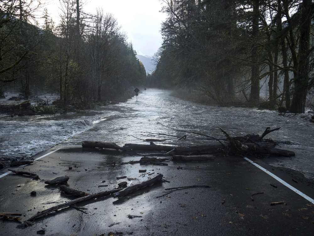 PenDailyNews's tweet photo. Bob Kaune shared his photo from this a.m. of #ElwhaRiver after it jumped banks and flowed across Olympic Hot Springs Road and flooded former Elwha Campground. The road into the Elwha Valley of @OlympicNP is closed at the gate near Madison Falls.

Thanks, Bob! https://t.co/ThriUsBz9Y